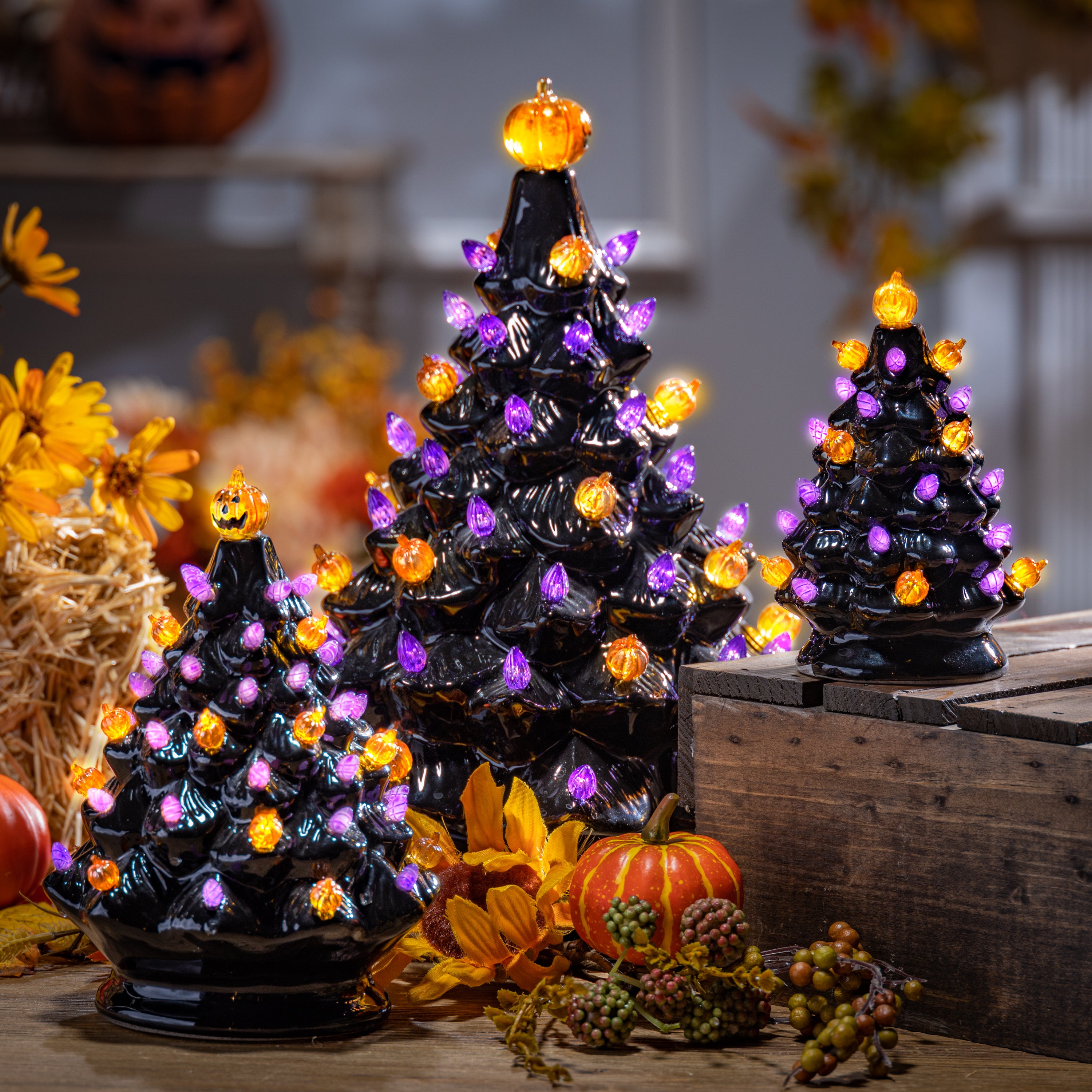 Set of 3 Battery Operated Lighted Dolomite Halloween Trees with sound